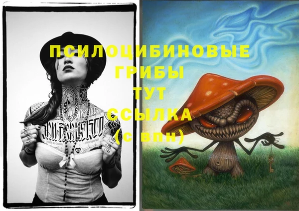 jwh Арсеньев
